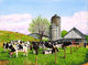 Barnyard Beauties Wall Mural