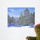 Bear Run Wall Decal