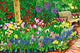 Botanical Gardens Flower Show Wall Decal Design 2