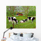 Bovine Beauties Pennsylvania Wall Decal