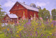 Hollyhock Garden Wall Decal