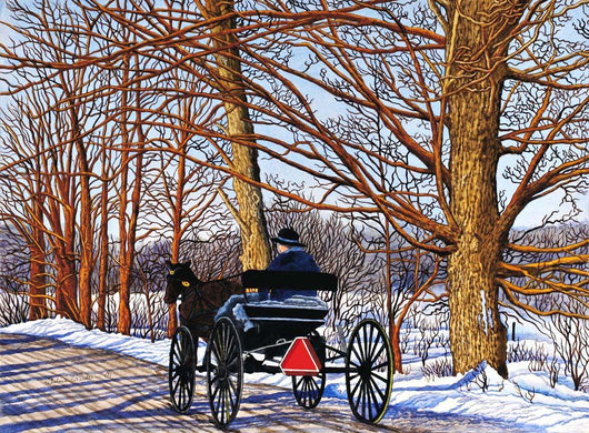 Buggy Ride Leon Ny Wall Decal