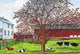 Cow Pasture Leon Ny Wall Decal