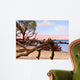 Driftwood Dreamers Jekyll Island Wall Decal