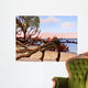 Driftwood Dreamers Jekyll Island Wall Decal