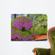 Longwood Gardens Wisteria Pennsylvania Wall Decal