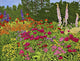 Lord's Garden Eden Ny Wall Decal