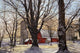 Maple Syrup Time Collins Wall Decal