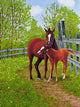 Mother's Love Machias Ny Wall Decal