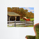 Old Horse Shed Mumford Wall Decal