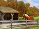 Old Horse Shed Mumford Wall Decal