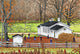 Recess Old Schoolyard Leon Wall Decal