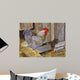 Rooster Wall Decal Design 1