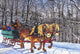 Sleigh Ride Chestnut Ridge Wall Decal