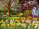 Spring Garden Ii Eden Wall Decal