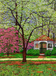 Springtime Park Wall Decal
