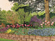 Tulips and Lilacs Wall Decal