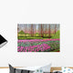 Tulips Longwood Gardens I Wall Decal