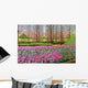 Tulips Longwood Gardens I Wall Decal