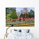 Tulips Longwood Gardens Iii Wall Decal