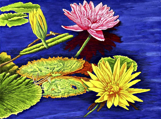 Water Lilies Iii Wall Decal