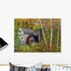 Waterwheel E Dorset Vt Wall Decal