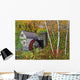 Waterwheel E Dorset Vt Wall Decal
