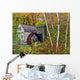 Waterwheel E Dorset Vt Wall Decal