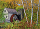 Waterwheel E Dorset Vt Wall Decal