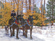 Work Horses Wall Decal