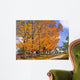 Autumn Splendor Wall Decal