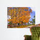 Autumn Splendor Wall Decal