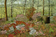 Azalea Garden Wall Decal