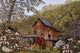 Blossom Time Wall Decal