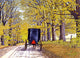 Buggy Wall Decal