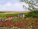 Burren Wall Decal