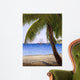Caribbean Shore Wall Decal