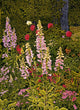 Foxglove Peonies Wall Decal