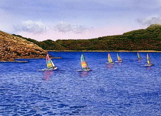 Hobie Cats Wall Decal