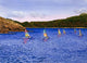 Hobie Cats Wall Decal