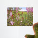 Hummingbird Wall Decal Design 1