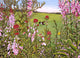 Hummingbird Wall Decal Design 1