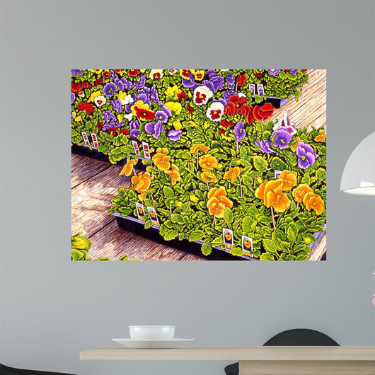 Pansies Wall Decal