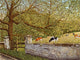 Peaceful Pasture Wall Decal