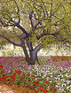 Prescott Gardens Wall Decal