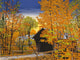Stowe Hollow Bridge Wall Decal