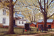Three Buggies Wall Decal