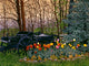 Tulips and Wagon Wheels Wall Decal