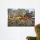 Tulips New Hampshire Wall Decal