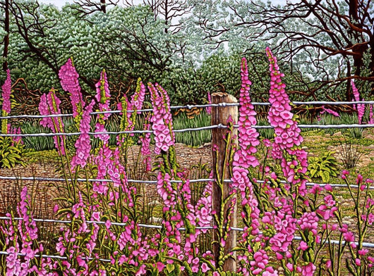 Wild Foxglove Wall Decal